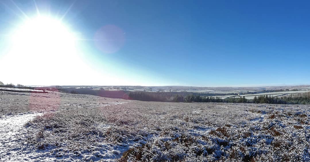 Frosted Heathland