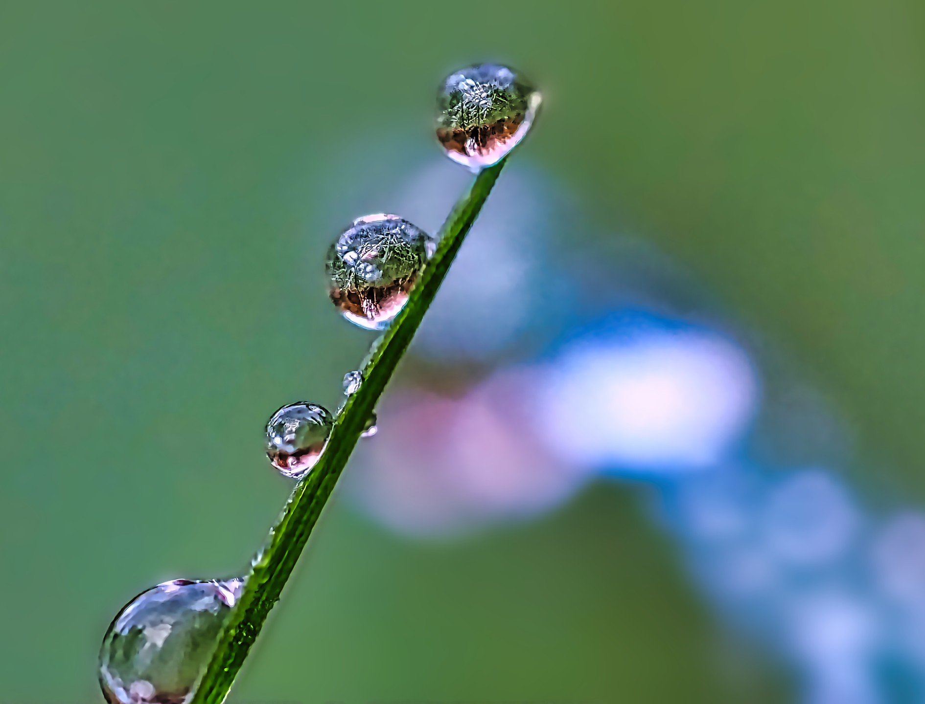 Water Droplets